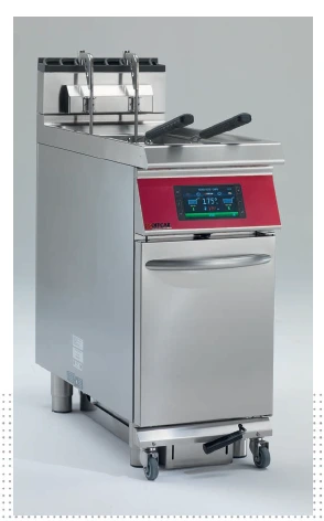 friteuse professionnelle