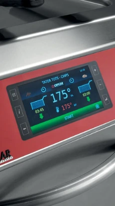 friteuse professionnelle